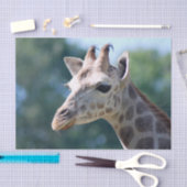 Papier Mousseline Girafe (Artisanat)