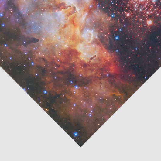 Papier Mousseline Gisement d'étoile de Falln Westerlund (Détail)