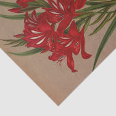 Papier Mousseline Gladiolus Cardinalis par Arentina Hendrica Arendse (Détail)