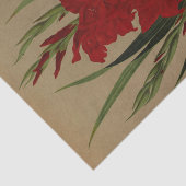 Papier Mousseline Gladiolus Gandavensis. Var. Brench Leyensis (Détail)