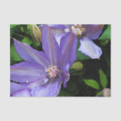 Papier Mousseline Gloire de matin pourpre Decoupage (Recto)