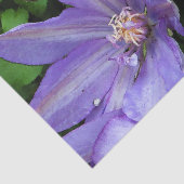 Papier Mousseline Gloire de matin pourpre Decoupage (Détail)