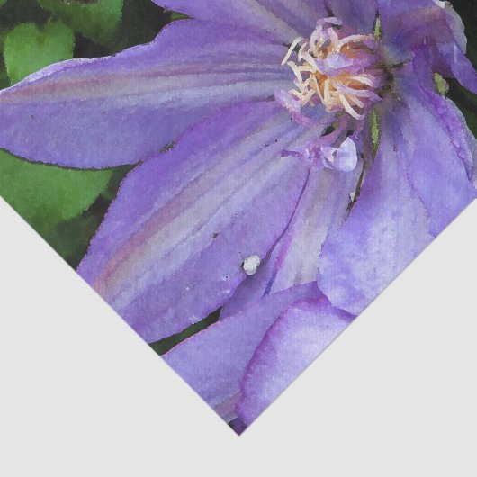 Papier Mousseline Gloire de matin pourpre Decoupage (Détail)