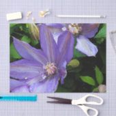 Papier Mousseline Gloire de matin pourpre Decoupage (Artisanat)