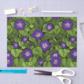 Papier Mousseline Gloire du matin en violet et vert (Artisanat)