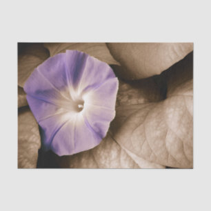 Papier Mousseline Gloire du matin Fleur de pourpre sépia florale vin