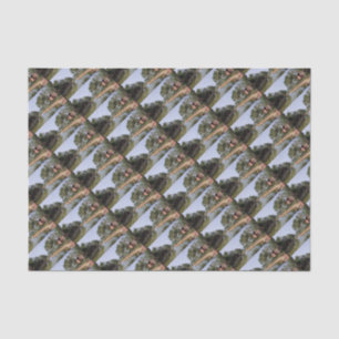 Papier Mousseline Goa Inde