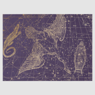 Papier Mousseline Gold Galaxy Star Map Series Design 12