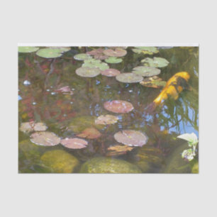 Papier Mousseline Gold Koi dans l'étang Lily
