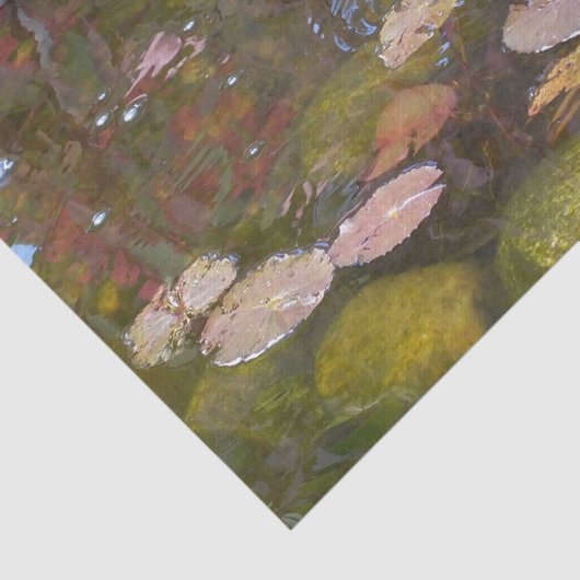 Papier Mousseline Gold Koi dans l'étang Lily (Détail)