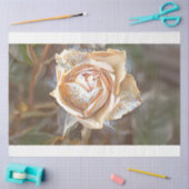 Papier Mousseline Gold Silk Unique Rose (Artisanat)