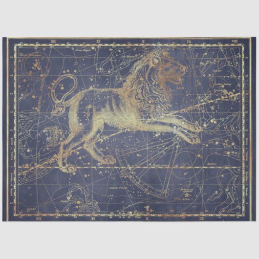 Papier Mousseline Gold Star Map Series Design 18 (Recto)