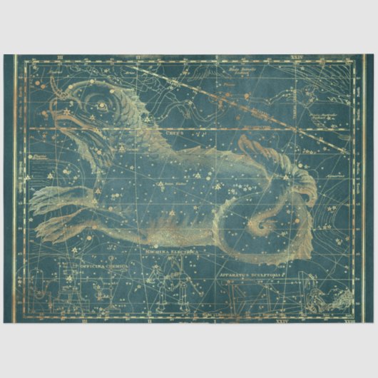 Papier Mousseline Gold Star Map Series Design 22 (Recto)