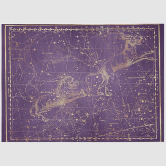 Papier Mousseline Gold Star Map Series Design 5 (Recto)