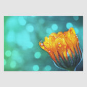 Papier Mousseline Golden Marigold sur Turquoise Bokeh (Recto)