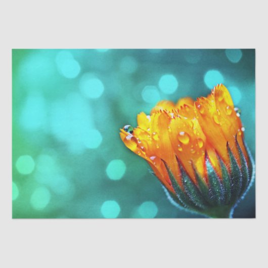 Papier Mousseline Golden Marigold sur Turquoise Bokeh (Recto)