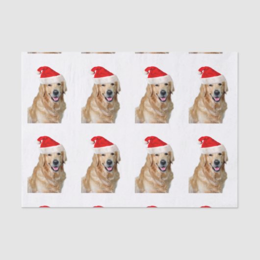 Papier Mousseline Golden Retriever (Recto)
