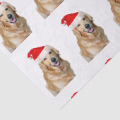 Papier Mousseline Golden Retriever (Détail)