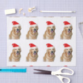 Papier Mousseline Golden Retriever (Artisanat)