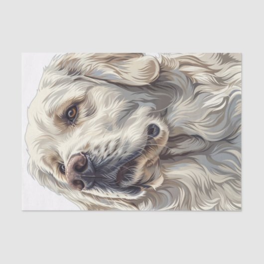 Papier Mousseline Golden Retriever4 (Recto)