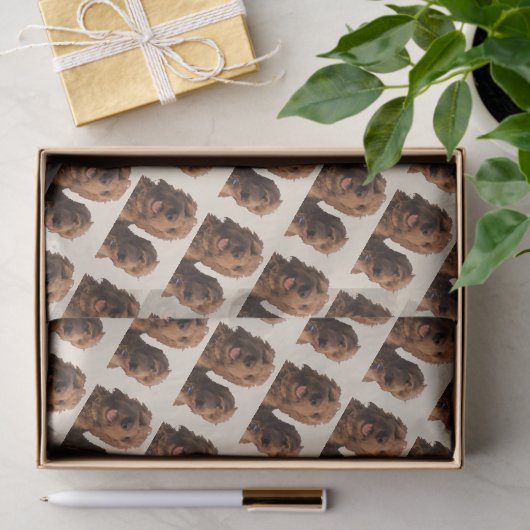 Papier Mousseline Goldendoodle Brothers (Cadeau)