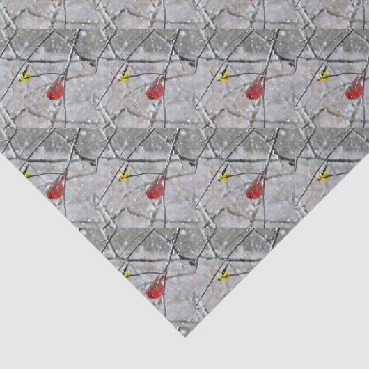 Papier Mousseline Goldfinch Et Cardinal (Détail)