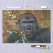 Papier Mousseline Gorilla Et Ses Berries (Artisanat)