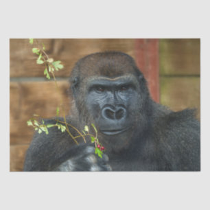 Papier Mousseline Gorilla Et Ses Berries