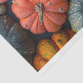 Papier Mousseline Gourdes Citrouilles colorées et découpage de squas (Détail)