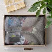 Papier Mousseline Graffiti Sur Stadtbahnbogen, Wien Österreich (Cadeau)