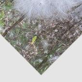 Papier Mousseline Graines et soie d'algues (Détail)