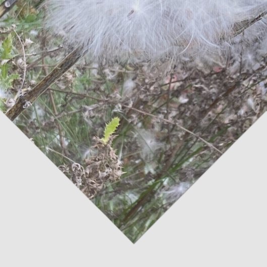 Papier Mousseline Graines et soie d'algues (Détail)