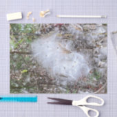 Papier Mousseline Graines et soie d'algues (Artisanat)