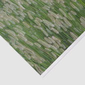 Papier Mousseline Graines vertes (Détail)