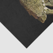 Papier Mousseline Grand-duc d'Amérique la nuit (Détail)