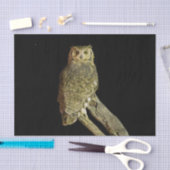 Papier Mousseline Grand-duc d'Amérique la nuit (Artisanat)