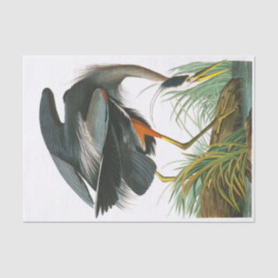 Papier Mousseline Grand héron bleu par John James Audubon