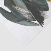 Papier Mousseline Grand héron bleu par John James Audubon (Détail)