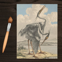 Grand Héron Bleu Vintage Dramatique Ornithologie O