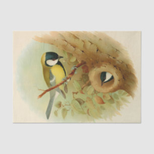 Papier Mousseline Grand métis - Oiseau coloré, Art