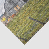 Papier Mousseline Grande Barne de Cheval gris (Détail)