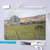 Papier Mousseline Grande Barne de Cheval gris (Artisanat)