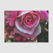 Papier Mousseline Grande rose rose (Recto)