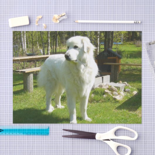 Papier Mousseline Grands Pyrénées complètement 2 (Artisanat)