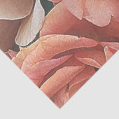 Papier Mousseline grands roses de jardin, pêche douce (Détail)