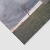 Papier Mousseline Grange à crème isolée avec un arbre solitaire (Détail)