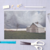 Papier Mousseline Grange à crème isolée avec un arbre solitaire (Artisanat)