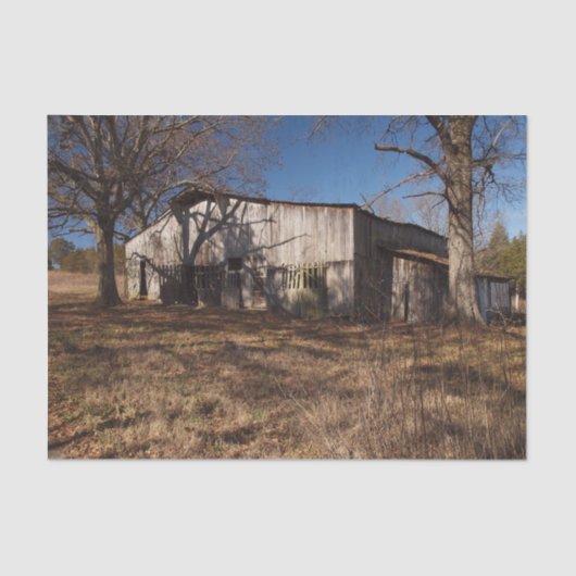 Papier Mousseline Grange Brown Lumineuse Dilapidée Au milieu des gra (Recto)