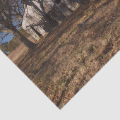 Papier Mousseline Grange Brown Lumineuse Dilapidée Au milieu des gra (Détail)