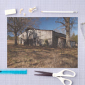 Papier Mousseline Grange Brown Lumineuse Dilapidée Au milieu des gra (Artisanat)